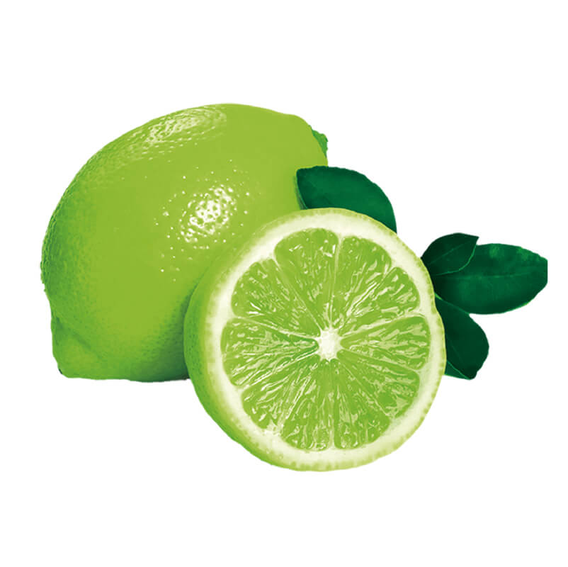 LIMÓN (citrus limón)